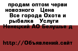 продам оптом черви новозного › Цена ­ 600 - Все города Охота и рыбалка » Услуги   . Ненецкий АО,Белушье д.